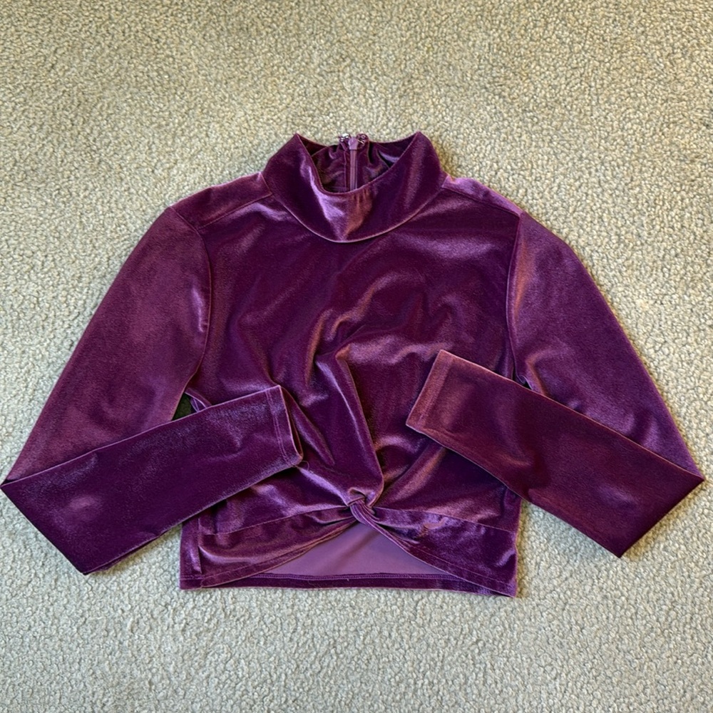 Lovers & Friends Velvet Crop Top